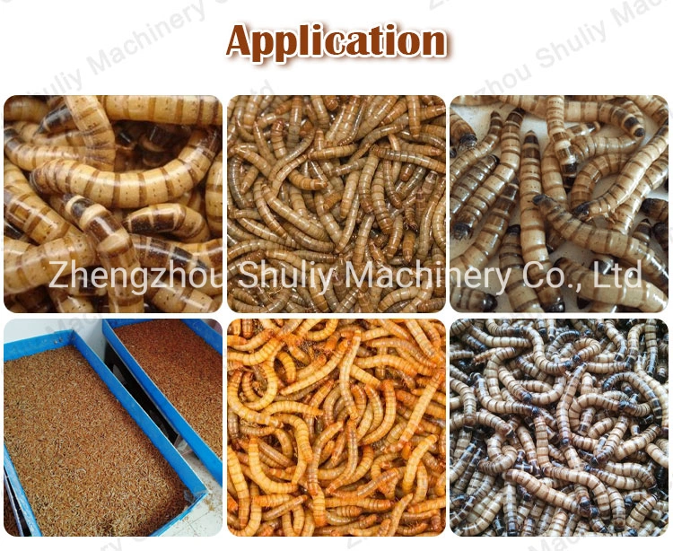 Best Price Mealworm Sorting Machine Tenebrio Separator Tenebrio Sieving Machine for Sale